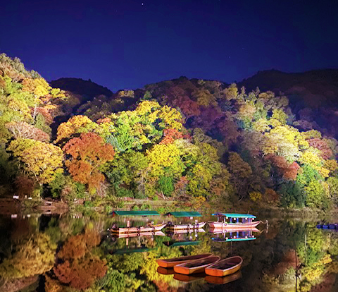 幻想的な夜の嵐山をご紹介