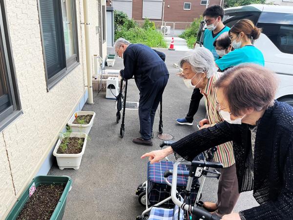 園芸レクリエーションを実施中